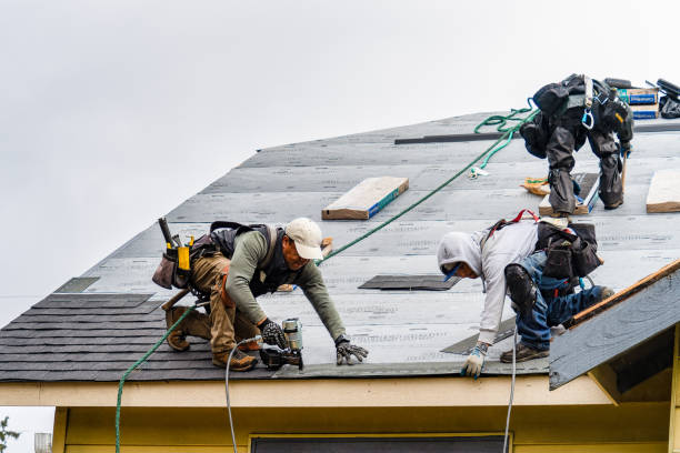 Professional Emergency Roof Repair technician working in Brownsburg, IN